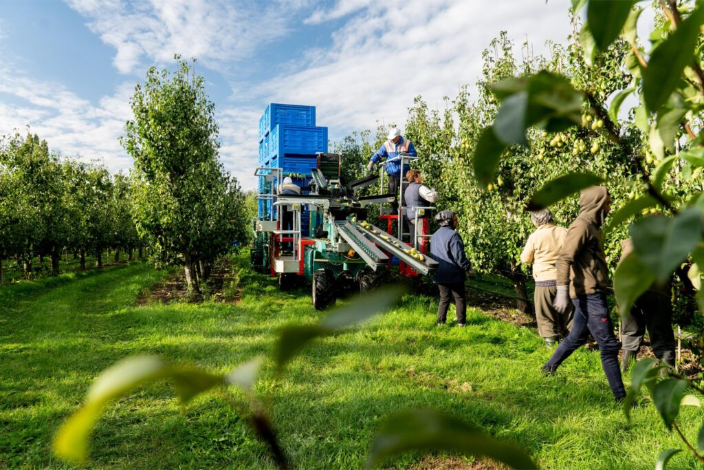 fruitplukmachines